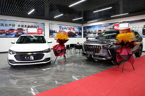 忻城汽车新地标！青龙车行元旦盛大开业，打造一站式汽车销售综合体